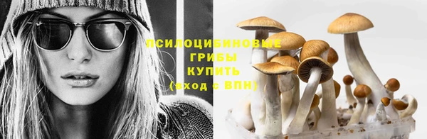 бошки Новокубанск