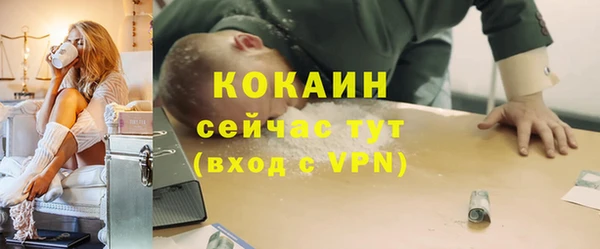 ПСИЛОЦИБИНОВЫЕ ГРИБЫ Ельня