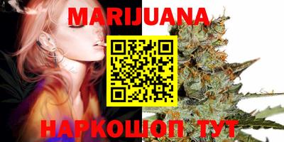 гидра Донской