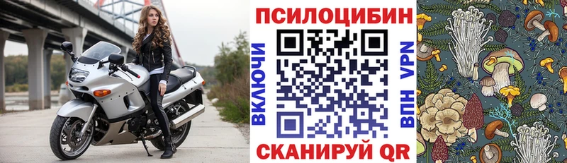 Галлюциногенные грибы Psilocybe  где можно купить   KRAKEN зеркало  Полевской 