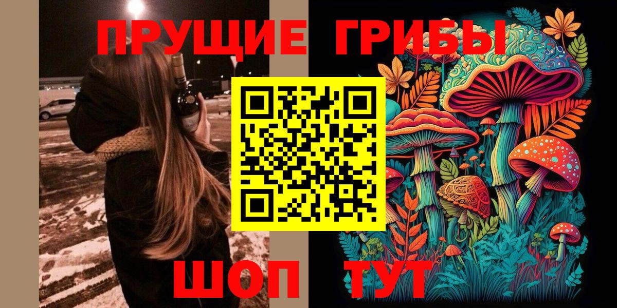 Галлюциногенные грибы Psilocybine cubensis  Вход с VPN  Полевской 