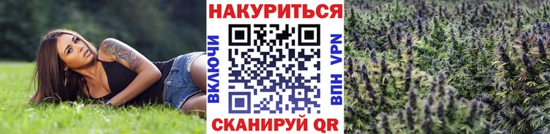 Конопля OG Kush  Полевской 